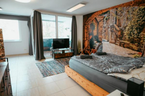 Danube Island Apartment 3